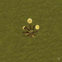 bees dandelion part 2 GIF by Scorpion Dagger