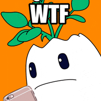 Excuse Me Wtf GIF by Magic Eden