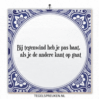 Humor Nl GIF by Tegelspreuken.nl