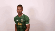 celebrate portland timbers GIF by Timbers