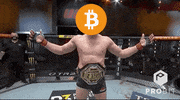 Winning All Time High GIF by ProBit Global