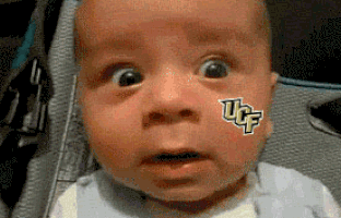 GIF by UCF Knights