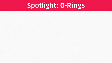 allysonnikolesawyer giphyupload GIF