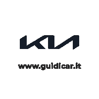 _GuidiCar_ guidi guidicar guidi car Sticker