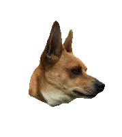 Dog Puppy Sticker