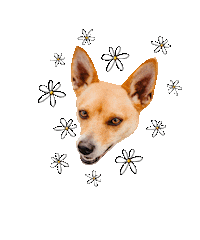 Dog Puppy Sticker