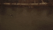 texas GIF