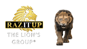 Lion King Disney Sticker by Yanni Raz