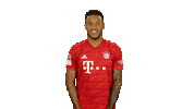 Happy Love You Sticker by Bundesliga