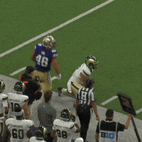 Bow Down University Of Washington GIF by Washington Athletics