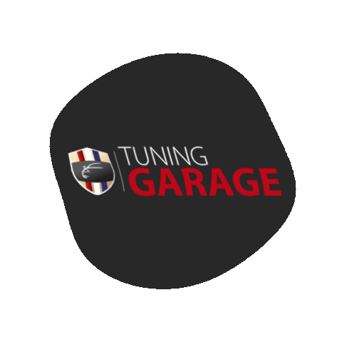 tuninggarage giphygifmaker Sticker