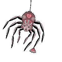 Tattoo Spider Sticker