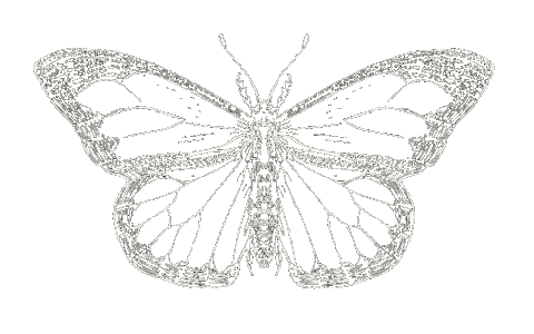 Art Illustration Sticker