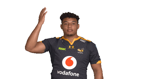 Rugby Sticker by Wasps