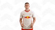 Oh Yeah Yes GIF by RB Leipzig