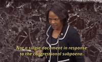 news senate impeachment trial impeachment trial val demings GIF