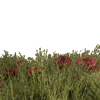Summer Flowers Sticker