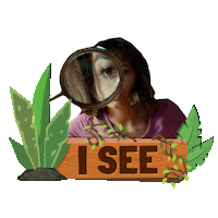 I See Doramovie Sticker by Dora and the Lost City of Gold