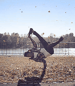 bread da GIF