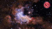 3D Flying GIF by ESA/Hubble Space Telescope