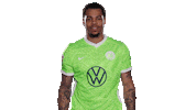 Oh No Football Sticker by VfL Wolfsburg