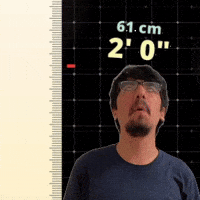 2' 0"