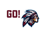 Fefa Fcfa Sticker by INDIANS FLAG FOOTBALL