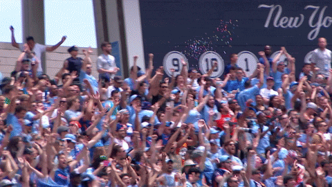 goal fans GIF by NYCFC