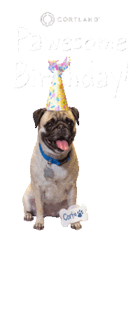 CortlandLiving birthday happy birthday pawesome cortlandliving Sticker