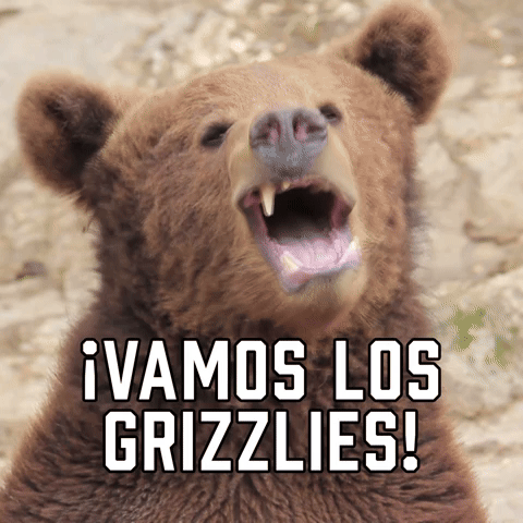 ¡Vamos Los Grizzlies!