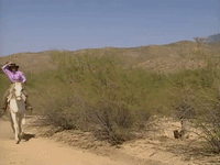 hey dude nicksplat GIF