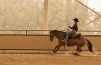 GIF by Molly Virginia Morris Photography