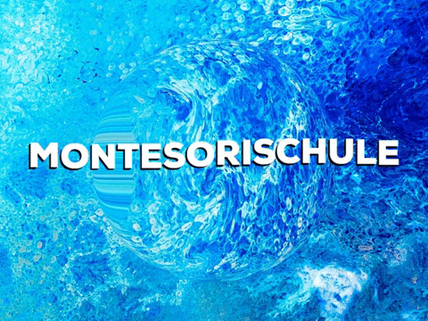 School Lol GIF by PrivatschulenPORTAL.de