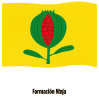Flag Spain GIF by Formación Ninja