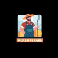 Priorleasing GIF by Prior.az