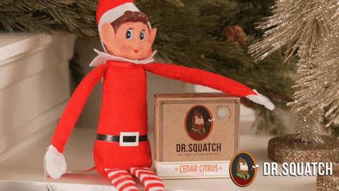 Elf On The Shelf Christmas GIF by DrSquatch