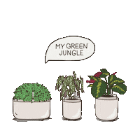 Plants Gardening Sticker by Plastia