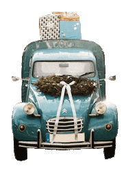 Refinedbohemia Sticker by the Framehouse