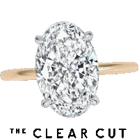 Engagement Ring Sticker by The Clear Cut