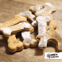 Hungry Dog GIF by SWR Kindernetz