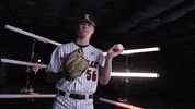 University Of Louisville Baseball GIF by Louisville Cardinals