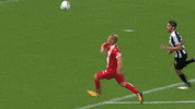 f95 GIF by Fortuna Düsseldorf