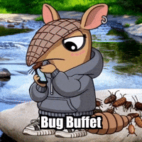 Insects Armadillo GIF by Chillo Dillo
