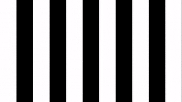 Celebration Goal GIF by SK Sturm Graz