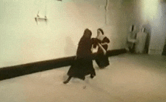 martial arts wtf GIF by Cheezburger