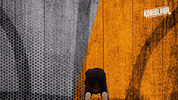 Sport Basketball GIF by Basket_fi
