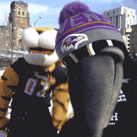 Happy Baltimore Ravens GIF by Towson University