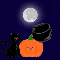 Trick Or Treat Cat GIF