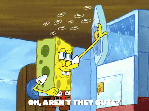 season 4 GIF by SpongeBob SquarePants