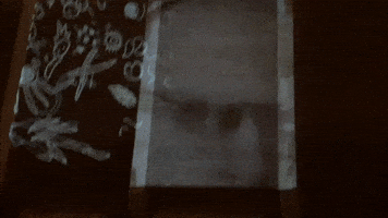 Street Art GIF by Alex Boya